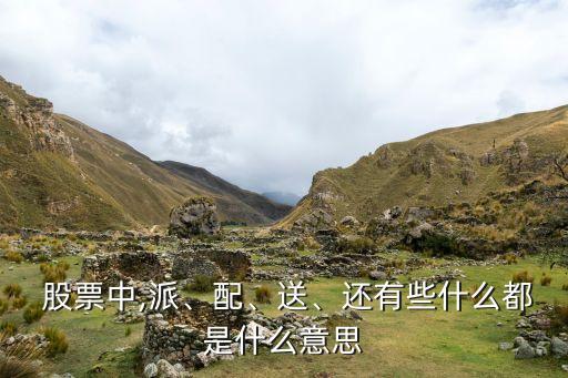  股票中,派、配、送、還有些什么都是什么意思