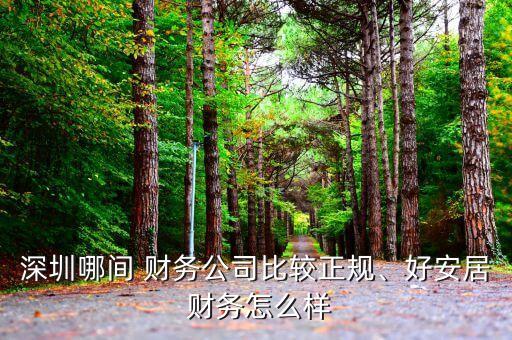 深圳哪間 財(cái)務(wù)公司比較正規(guī)、好安居 財(cái)務(wù)怎么樣