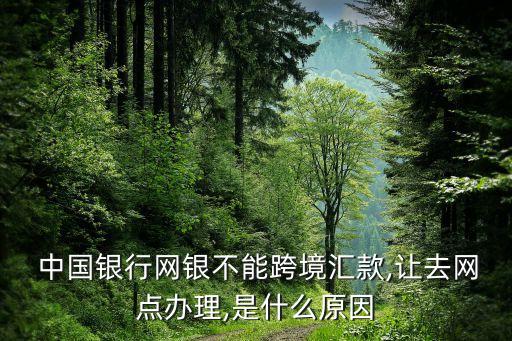  中國銀行網(wǎng)銀不能跨境匯款,讓去網(wǎng)點(diǎn)辦理,是什么原因