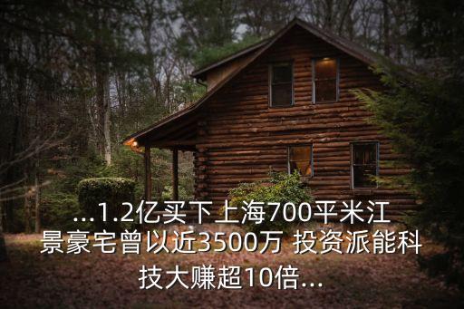 ...1.2億買(mǎi)下上海700平米江景豪宅曾以近3500萬(wàn) 投資派能科技大賺超10倍...