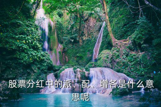  股票分紅中的派、配、增各是什么意思呢
