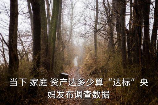 中國家庭平均資產92萬,專家:中國家庭平均資產300萬很正常
