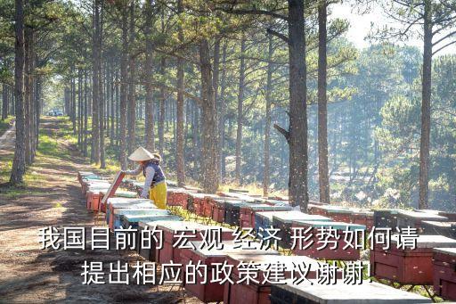 中國目前宏觀經(jīng)濟(jì)形勢(shì),中國宏觀經(jīng)濟(jì)形勢(shì)分析與預(yù)測(cè)年度報(bào)告