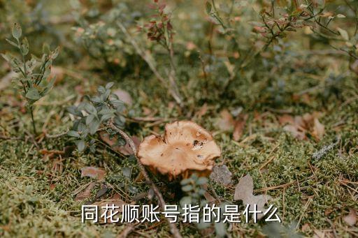 同花順愛(ài)基金賬戶注銷,支付寶基金賬戶怎么同步到同花順