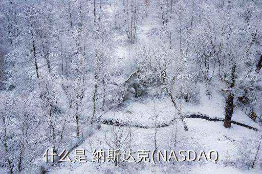 什么是 納斯達克(NASDAQ