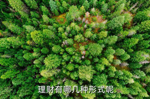  理財有哪幾種形式呢