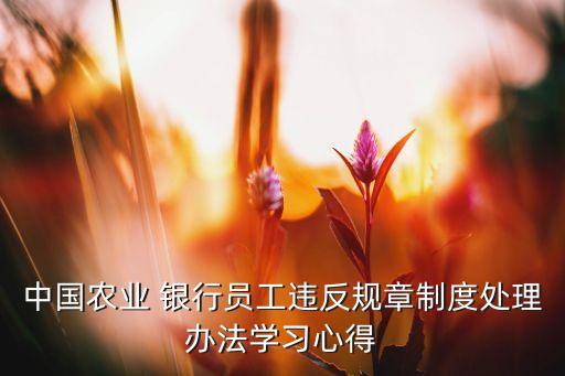 中國農業(yè) 銀行員工違反規(guī)章制度處理辦法學習心得