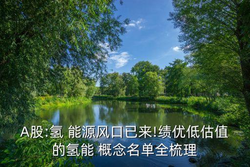 A股:氫 能源風(fēng)口已來(lái)!績(jī)優(yōu)低估值的氫能 概念名單全梳理