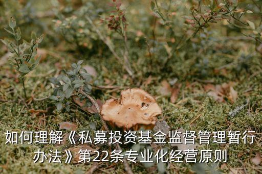 如何理解《私募投資基金監(jiān)督管理暫行辦法》第22條專業(yè)化經(jīng)營(yíng)原則
