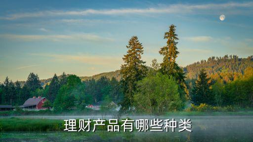 理財投資分幾類