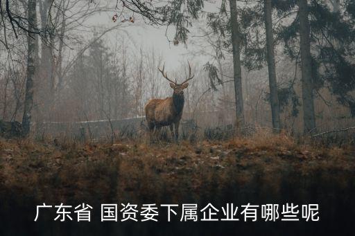 廣州國(guó)資控股有限公司,樂(lè)平市屬國(guó)資控股有限公司