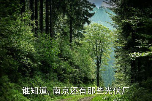 誰(shuí)知道, 南京還有那些光伏廠(chǎng)