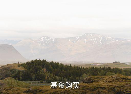 基金購(gòu)買