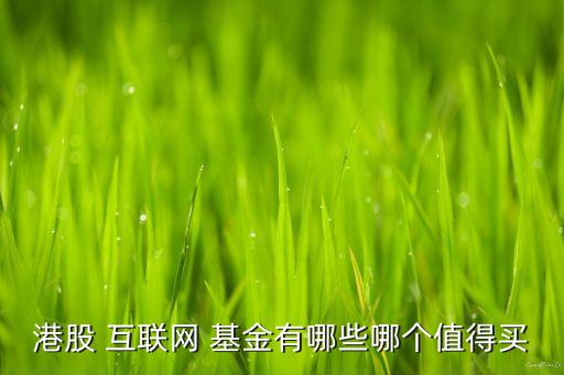 港股 互聯(lián)網(wǎng) 基金有哪些哪個(gè)值得買(mǎi)