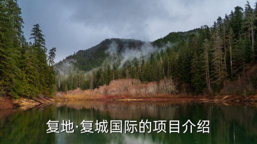 復(fù)地·復(fù)城國際的項(xiàng)目介紹