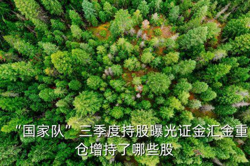 “國家隊”三季度持股曝光證金匯金重倉增持了哪些股