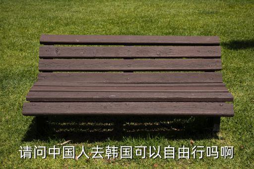 請(qǐng)問中國人去韓國可以自由行嗎啊