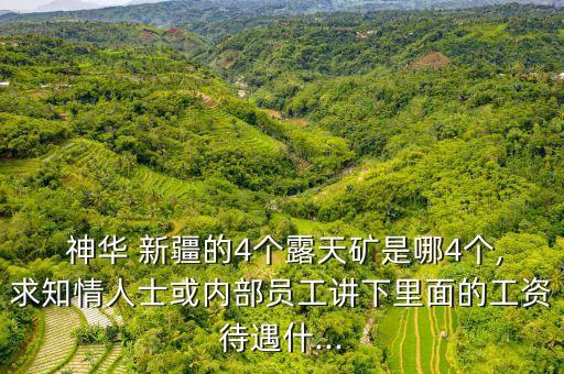  神華 新疆的4個露天礦是哪4個,求知情人士或內(nèi)部員工講下里面的工資待遇什...