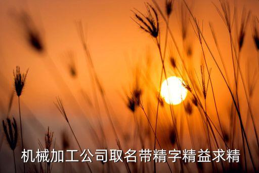 奇精機(jī)械股份有限公司董事長(zhǎng),寧?？h奇精機(jī)械股份有限公司