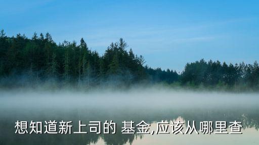 想知道新上司的 基金,應該從哪里查