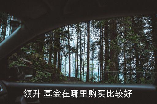 領(lǐng)升 基金在哪里購(gòu)買(mǎi)比較好