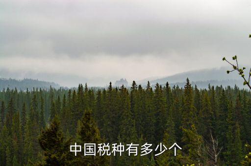 中國稅種有多少個
