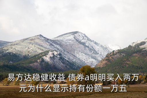 易方達(dá)穩(wěn)健收益 債券a明明買入兩萬(wàn)元為什么顯示持有份額一萬(wàn)五