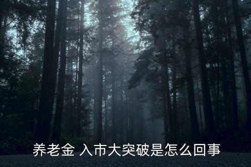 養(yǎng)老保險(xiǎn)基金入市問題的思考,地方養(yǎng)老保險(xiǎn)基金是否應(yīng)該入市