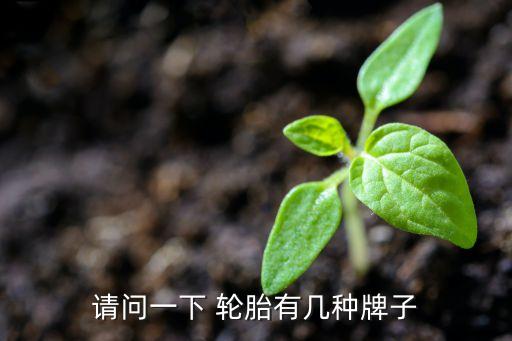 請(qǐng)問(wèn)一下 輪胎有幾種牌子