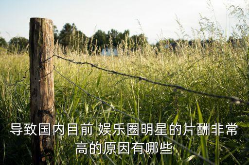 導(dǎo)致國內(nèi)目前 娛樂圈明星的片酬非常高的原因有哪些