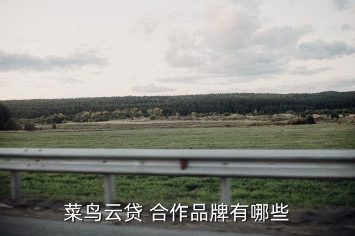 菜鳥(niǎo)云貸 合作品牌有哪些
