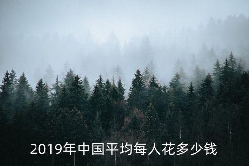 2019年中國平均每人花多少錢