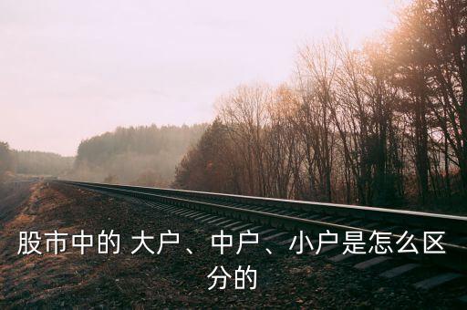 股市中的 大戶、中戶、小戶是怎么區(qū)分的