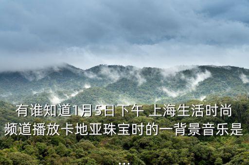 有誰(shuí)知道1月5日下午 上海生活時(shí)尚頻道播放卡地亞珠寶時(shí)的一背景音樂(lè)是...