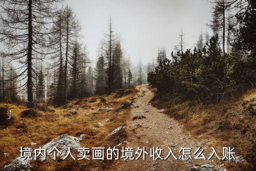 境內(nèi)個(gè)人賣畫(huà)的境外收入怎么入賬