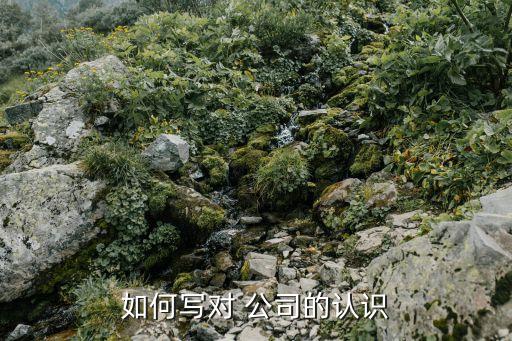 如何寫(xiě)對(duì) 公司的認(rèn)識(shí)