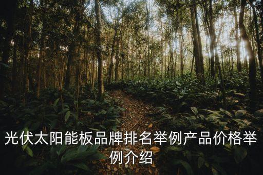 光伏太陽能板品牌排名舉例產(chǎn)品價(jià)格舉例介紹