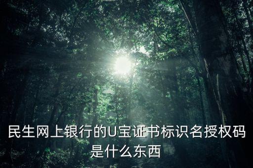 民生網(wǎng)上銀行的U寶證書標識名授權碼是什么東西