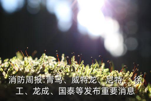 消防周報:青鳥、威特龍、尼特、 徐工、龍成、國泰等發(fā)布重要消息