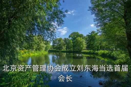 北京資產管理協(xié)會成立劉東海當選首屆會長