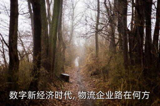 數(shù)字新經(jīng)濟(jì)時代, 物流企業(yè)路在何方