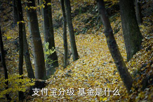 支付寶分級(jí) 基金是什么