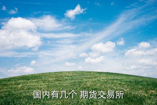 國內(nèi)有幾個(gè) 期貨交易所
