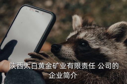 陜西辰州礦產公司