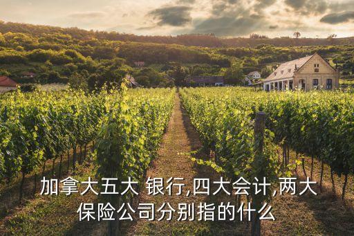  加拿大五大 銀行,四大會計(jì),兩大保險(xiǎn)公司分別指的什么