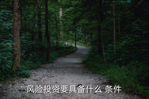 風(fēng)險投資要具備什么 條件