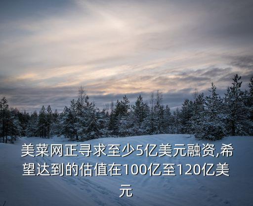  美菜網正尋求至少5億美元融資,希望達到的估值在100億至120億美元