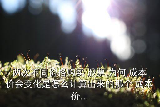 兩次不同價(jià)格購(gòu)買(mǎi) 股票,為何 成本價(jià)會(huì)變化是怎么計(jì)算出來(lái)的那個(gè) 成本價(jià)...
