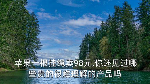  蘋(píng)果一根掛繩賣98元,你還見(jiàn)過(guò)哪些貴的很難理解的產(chǎn)品嗎