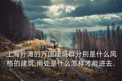  上海外灘的萬國(guó)建筑群分別是什么風(fēng)格的建筑,用處是什么怎樣才能進(jìn)去...